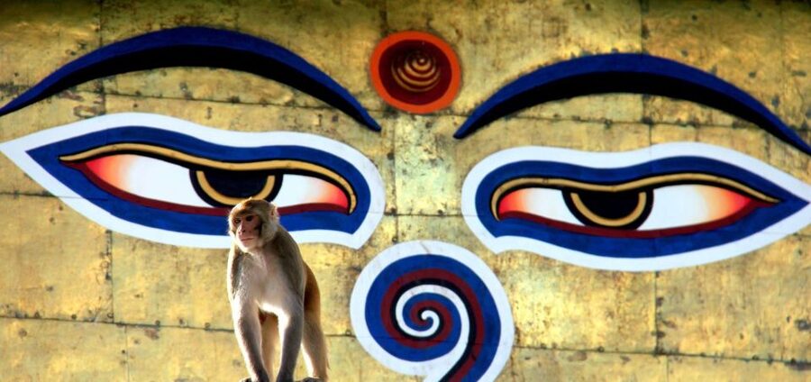 Kathmandu: Monkey Temple and Chandragiri Cable Car Ride Tour - Practical preparation for the stairs and views