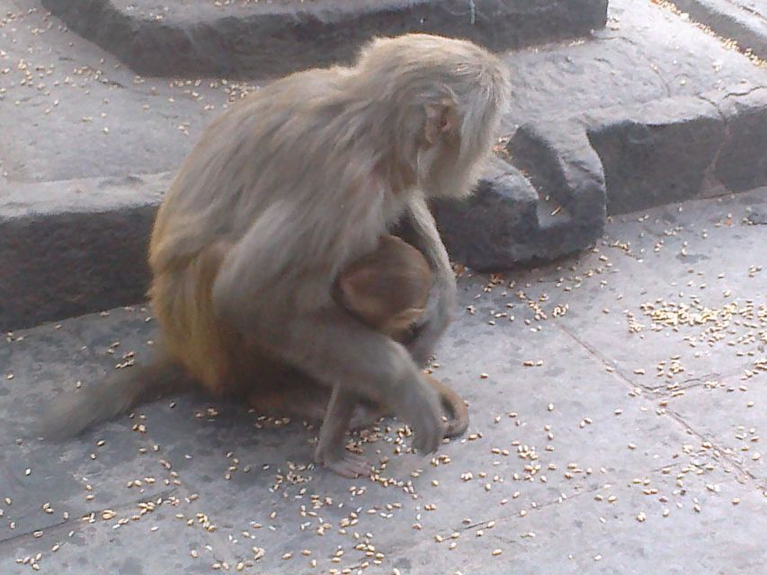 Kathmandu: Monkey Temple and Chandragiri Cable Car Ride Tour - FAQ
