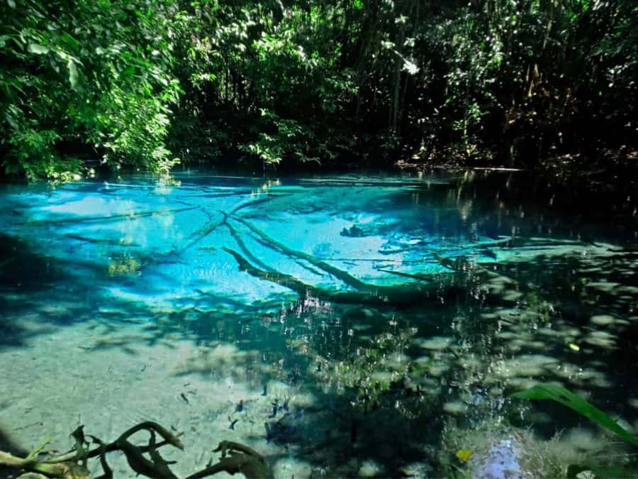 Ko Lanta: Full Day Emerald Pool&Hot Spring With Tiger Temple - Who should book this Ko Lanta day trip?