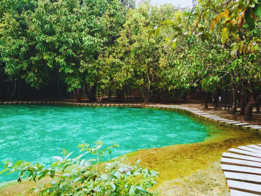 Ko Lanta: Full Day Emerald Pool&Hot Spring With Tiger Temple - A long but rewarding day beyond Ko Lanta