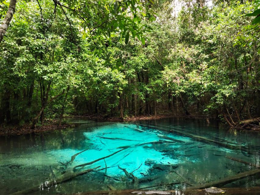 Ko Lanta: Full Day Emerald Pool&Hot Spring With Tiger Temple - Guides, language, and the feel of the day