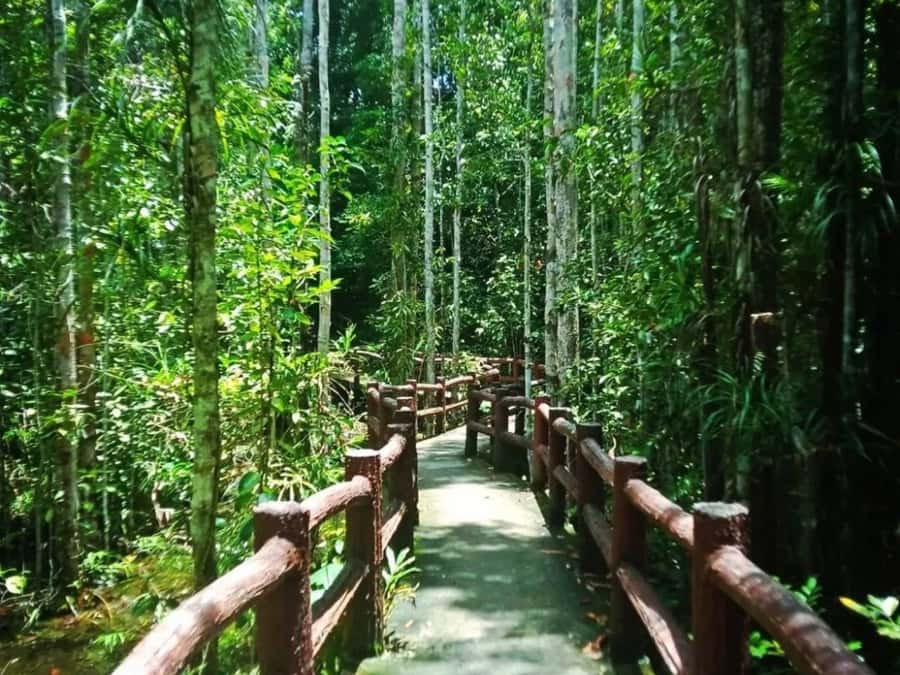 Ko Lanta: Full Day Emerald Pool&Hot Spring With Tiger Temple - What to bring and how to prepare