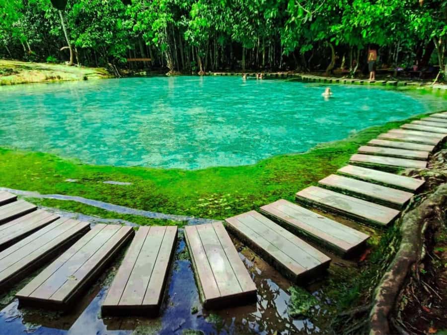 Ko Lanta: Full Day Emerald Pool&Hot Spring With Tiger Temple - Emerald Pool: a forest walk followed by a swim