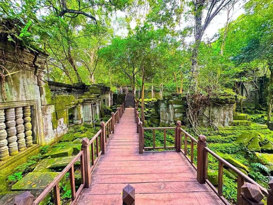 Koh Ker & Beng Mealea Temple Guided Tour - Key points to know before booking