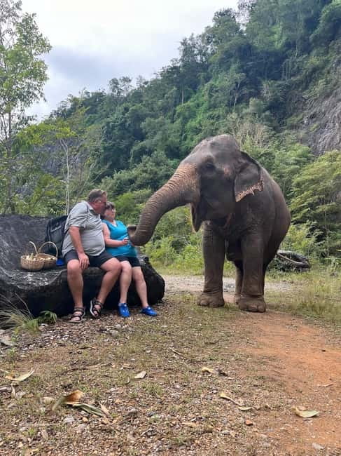Krabi: Ethical Elephant Sanctuary & Tiger Cave Temple Tour - Why the $42 price can make sense