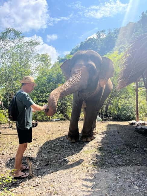 Krabi: Ethical Elephant Sanctuary & Tiger Cave Temple Tour - Should you book it?