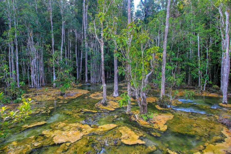 Krabi Outback Explorer with Visit of Tiger Cave Temple - Tiger Cave Temple brings the biggest physical choice
