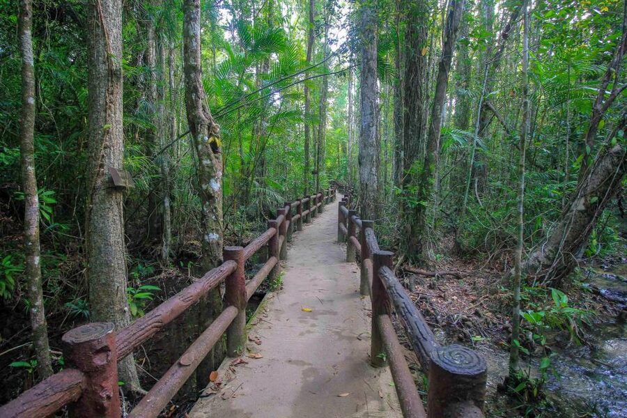 Krabi Outback Explorer with Visit of Tiger Cave Temple - Into Khao Pra Bang Khram’s lowland forest