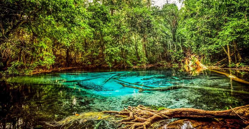 Krabi: Tiger Cave Temple, Emerald Pool and Hot Springs Tour - Who should book this Krabi day trip