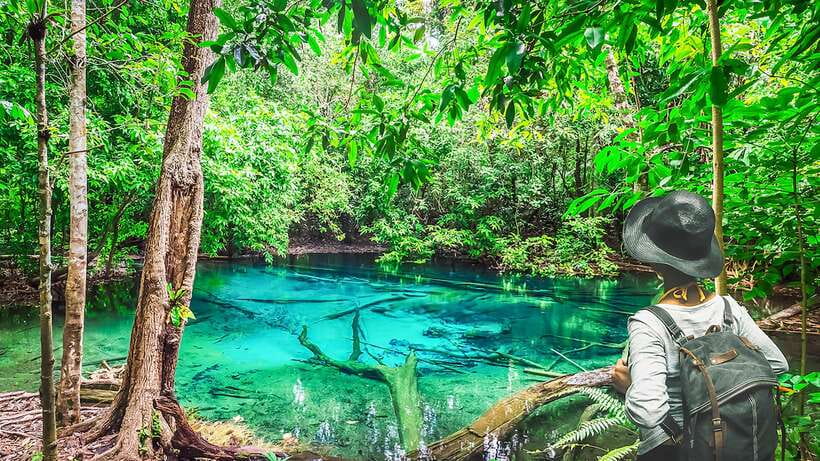 Krabi: Tiger Cave Temple, Emerald Pool and Hot Springs Tour - Blue Lagoon: beautiful, brief, and best for photos