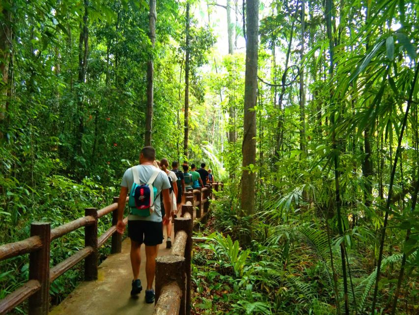 Krabi: Tiger Temple, Hot Springs & Crystal Pool Jungle Tour - Why this Krabi day trip works