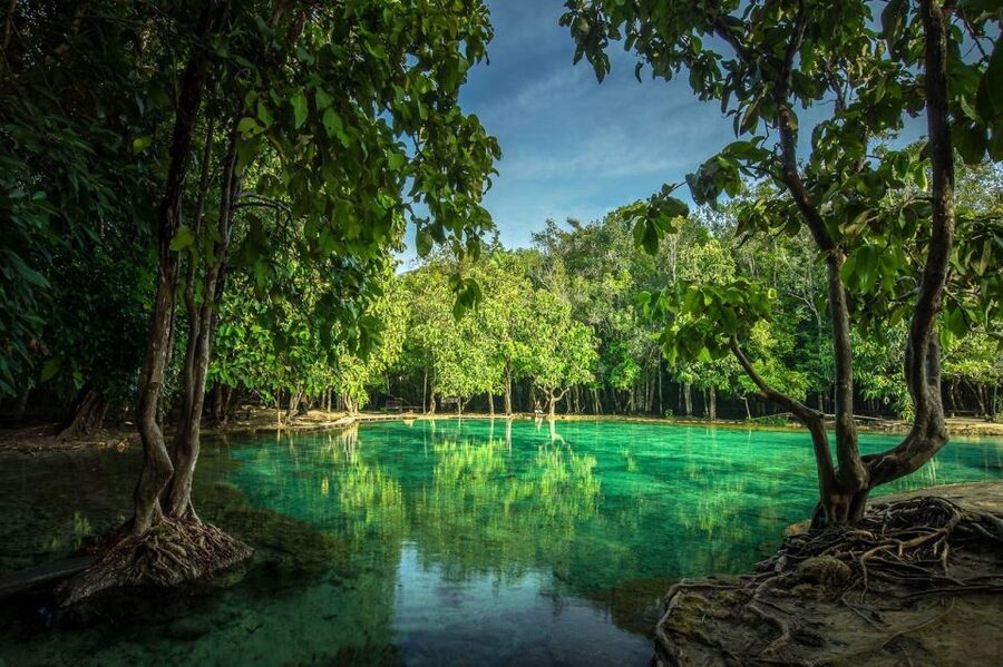 Krabi: Tiger Temple, Hot Springs & Crystal Pool Jungle Tour - Soaking in Krabi’s 40°C hot stream