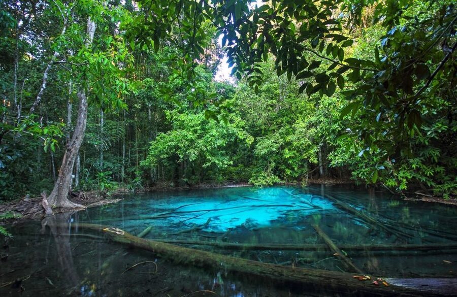 Krabi: Tiger Temple, Hot Springs & Crystal Pool Jungle Tour - What to bring and who should skip it