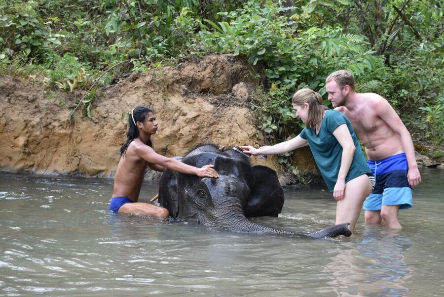Krabi: Tour of Elephant Care House and Tiger Cave Temple - Key points to know before booking