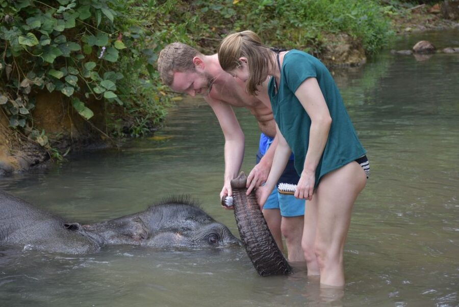 Krabi: Tour of Elephant Care House and Tiger Cave Temple - Should you book Krabi Elephant Care House and Tiger Cave Temple?