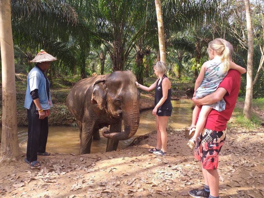 Krabi: Tour of Elephant Care House and Tiger Cave Temple - Lunch in the forest setting