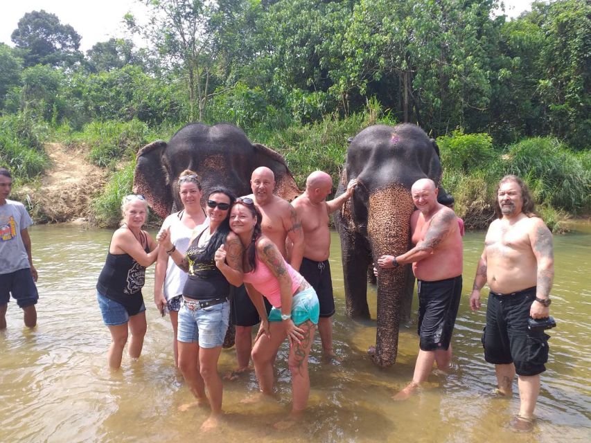 Krabi: Tour of Elephant Care House and Tiger Cave Temple - The short transfer and what is included