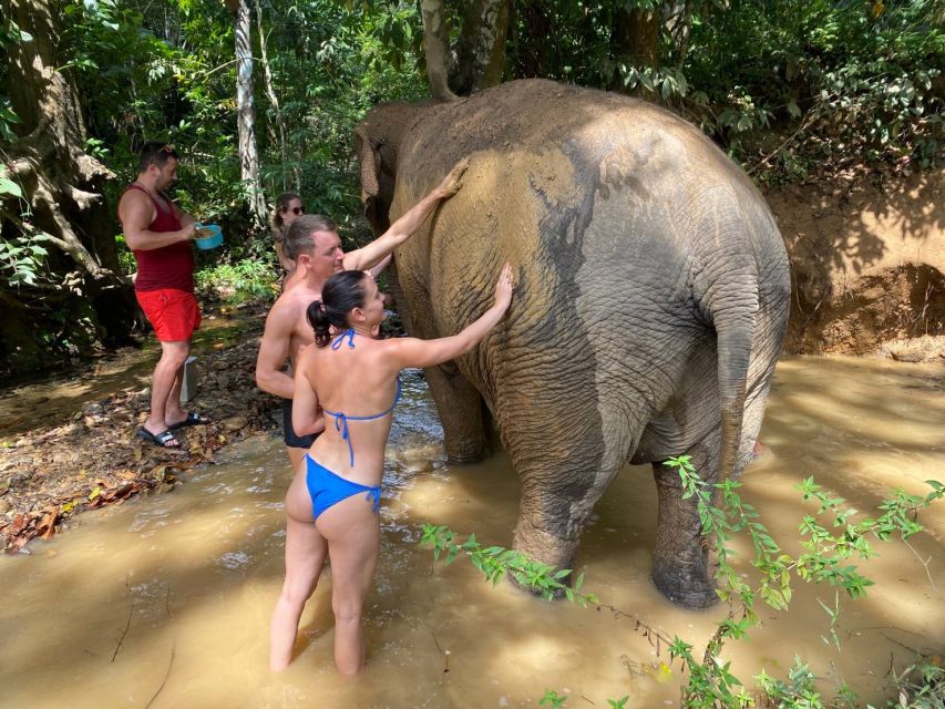 Krabi: Tour of Elephant Care House and Tiger Cave Temple - What makes the combination work