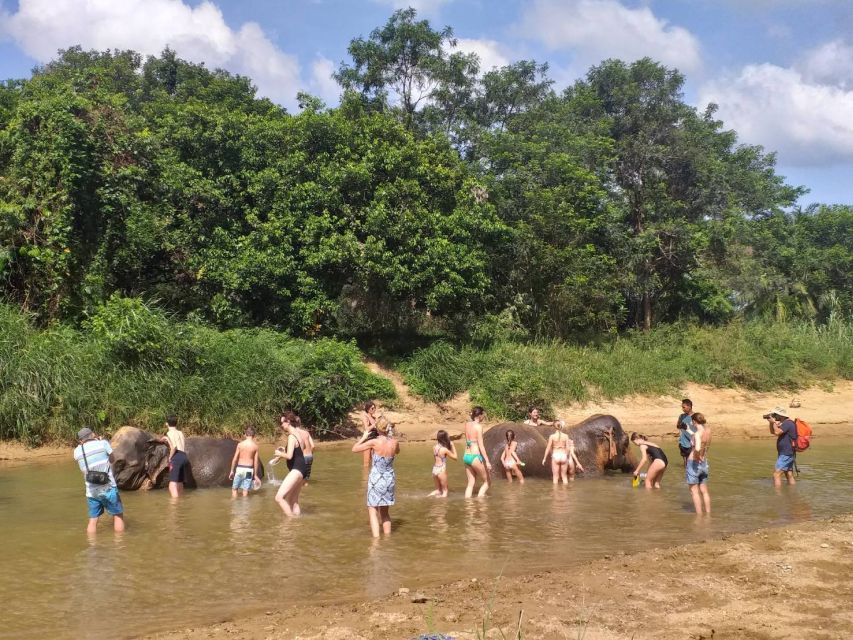 Krabi: Tour of Elephant Care House and Tiger Cave Temple - Booking value and practical policies