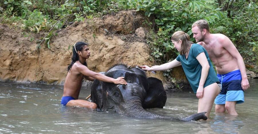 Krabi: Tour of Elephant Care House and Tiger Cave Temple - Feeding, walking, and bathing with the elephants
