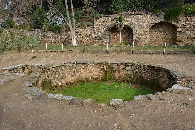 Kusadasi Shore Excursion: Private Tour to Ephesus including House of Virgin Mary and Temple of Artemis - The House of Virgin Mary on Mount Solmissos