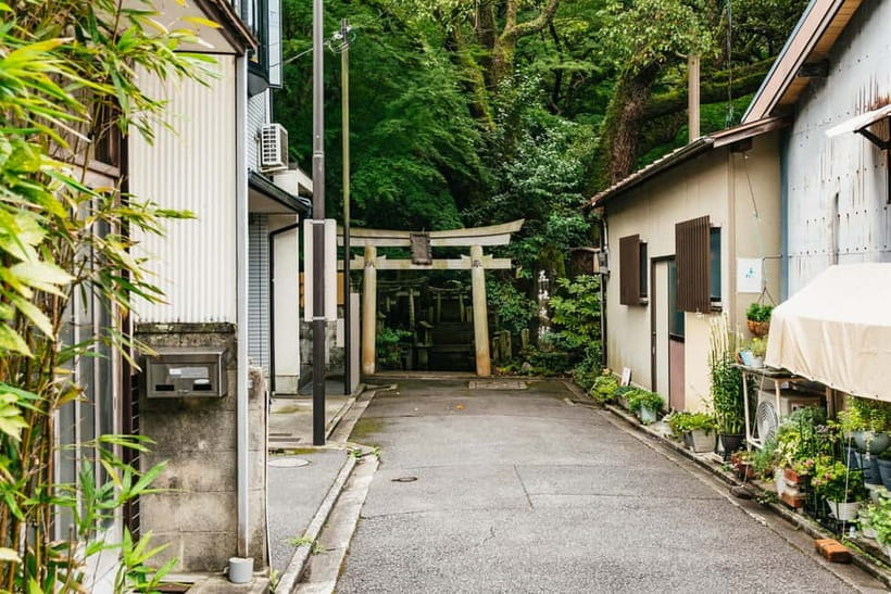 Kyoto: 3-Hour Fushimi Inari Shrine Hidden Hiking Tour - Reaching Mount Inari and its torii gates