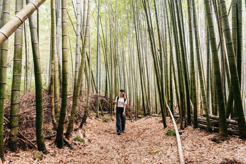 Kyoto: 3-Hour Fushimi Inari Shrine Hidden Hiking Tour - Starting near Tofukuji Station
