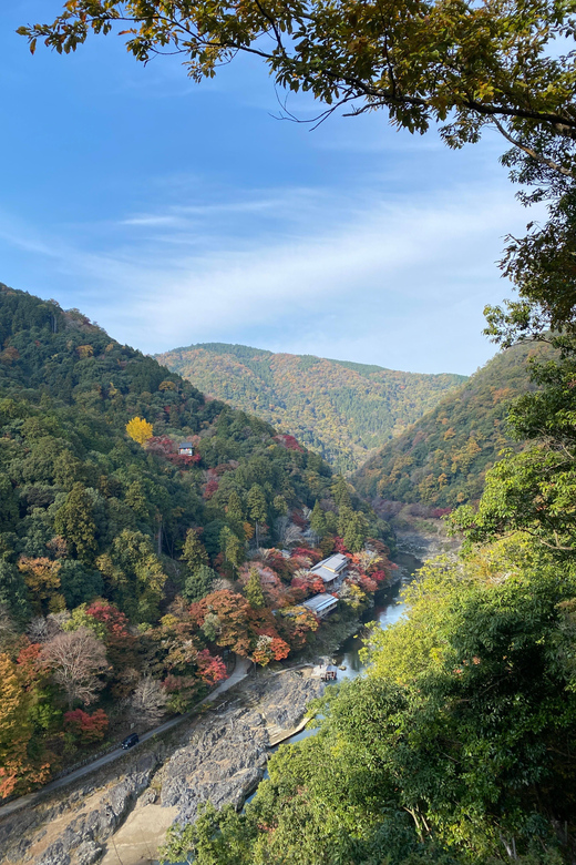 Kyoto: Arashiyama Guided Tour, Bamboo, Monkey, Zen Temple - Why this three-hour Arashiyama route works