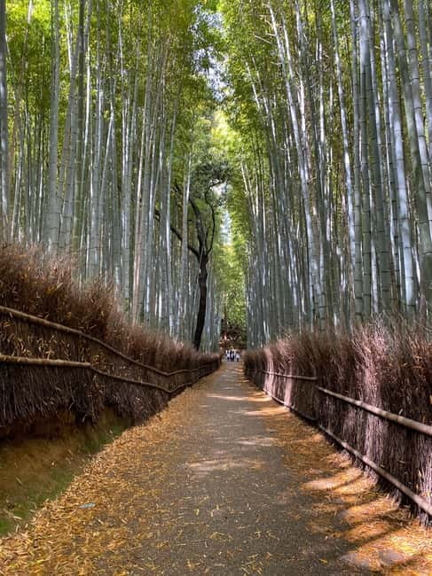 Kyoto: Arashiyama Guided Tour, Bamboo, Monkey, Zen Temple - Togetsukyo Bridge and the Katsura River view