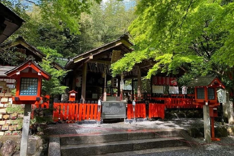 Kyoto: Arashiyama Guided Tour, Bamboo, Monkey, Zen Temple - Iwatayama Monkey Park and the uphill walk