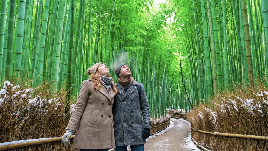Kyoto: Arashiyama Unveiled Bamboo, Temple, Matcha, & Monkeys - Why Arashiyama works well in four hours