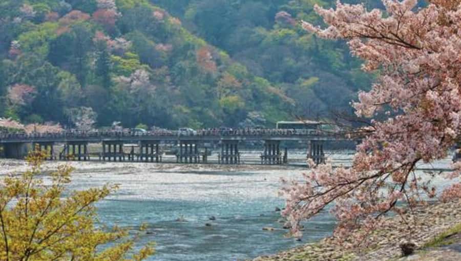 Kyoto: Arashiyama Unveiled Bamboo, Temple, Matcha, & Monkeys - Walking under the bamboo in Arashiyama