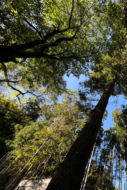Kyoto: Kifune Shrine and the Sacred Kifune Valley Day Trip - Exploring Kifune Shrine’s main grounds
