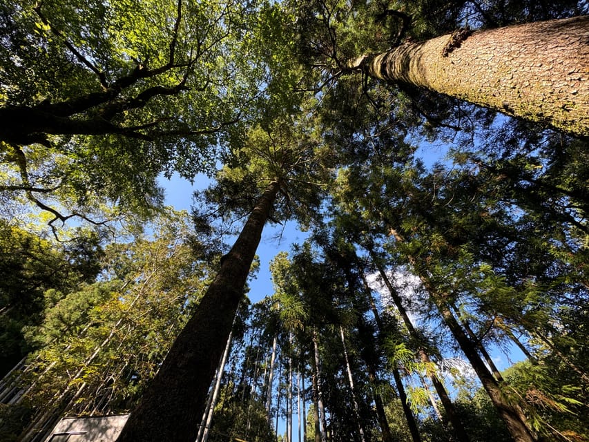 Kyoto: Kifune Shrine and the Sacred Kifune Valley Day Trip - Nakamiya and the wider spiritual meaning