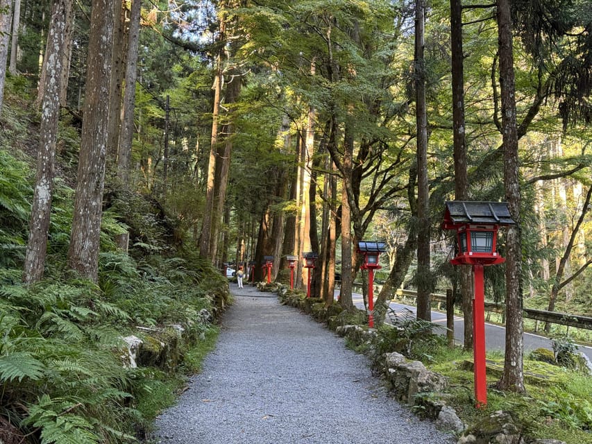 Kyoto: Kifune Shrine and the Sacred Kifune Valley Day Trip - The guides can shape the whole experience