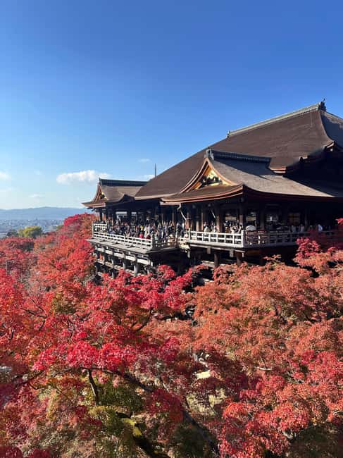 Kyoto: Kiyomizudera, Sanjusangendo, Ginkakuji and Higashiyama. - Walking from Sanjusangendo to Kiyomizudera