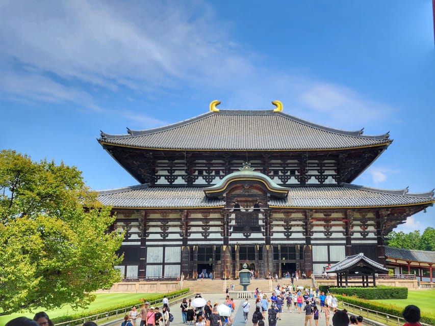 Kyoto: Nara, Todaiji, Kasuga Taisha Shrine Private Full Day - Why this Kyoto to Nara day works well
