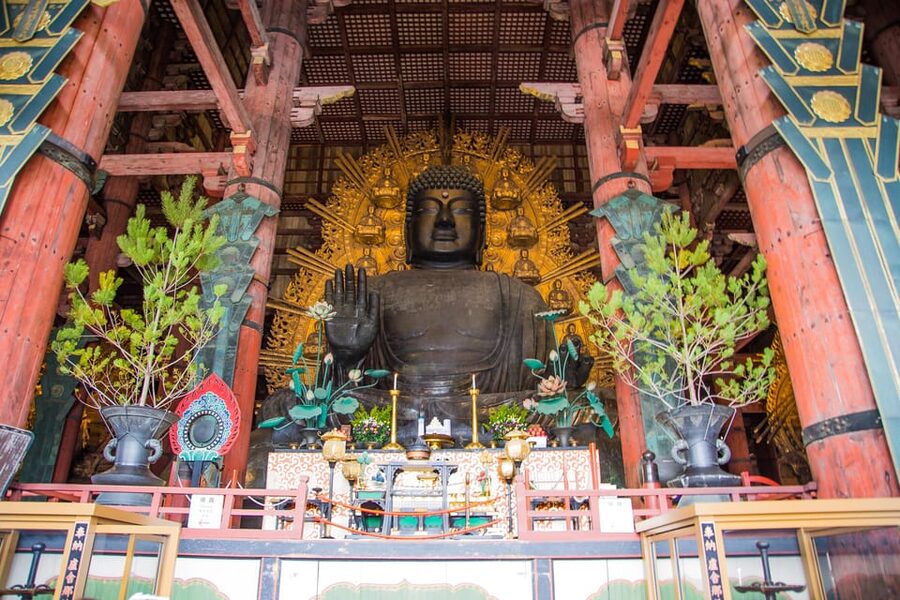 Kyoto: Nara, Todaiji, Kasuga Taisha Shrine Private Full Day - Entering Todaiji and seeing the Great Buddha