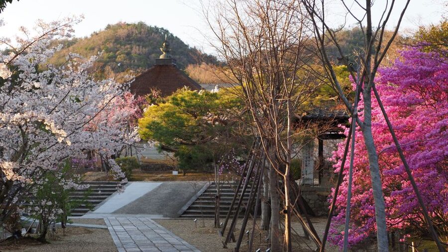 Kyoto: Ninnaji Temple Entry Ticket - How much time should you allow?