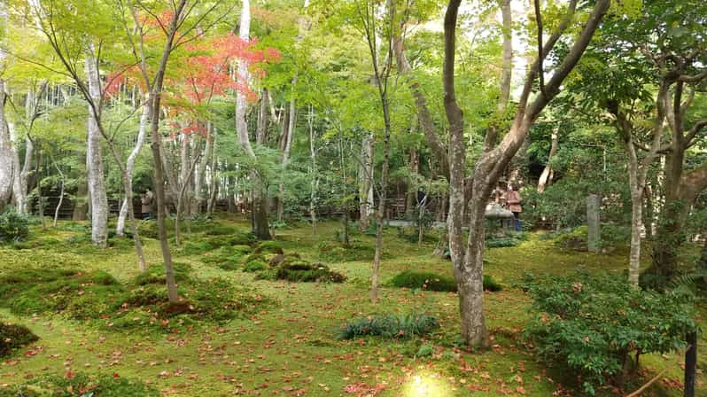 Kyoto:Quiet Arashiyama and Sagano Temples - Key points at a glance