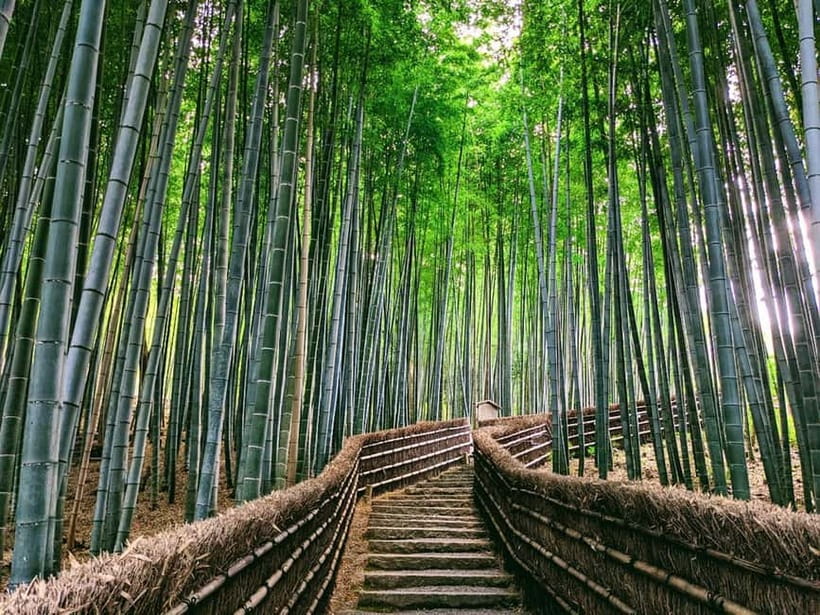 Kyoto:Quiet Arashiyama and Sagano Temples - Who should book this experience