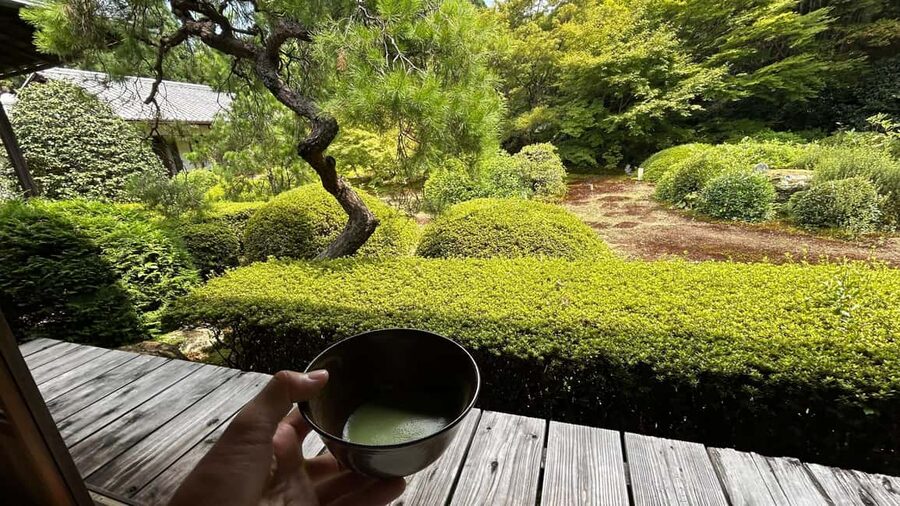 Kyoto: Shakyo & Matcha in Historic Temple Garden - Inside the two-hour temple visit