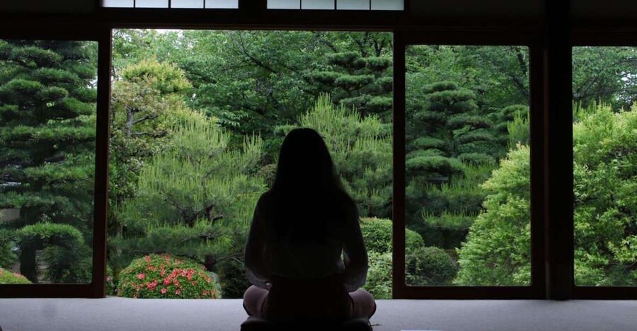 Kyoto: Zen Experience in a Hidden Temple - The garden view and the value of sitting still