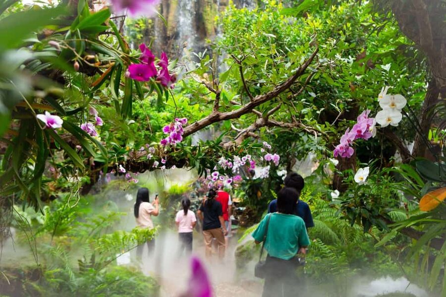 Lalita Cafe & Chiang Rai Temple(White+Blue) from Chiangmai - The Blue Temple’s cosmic interior