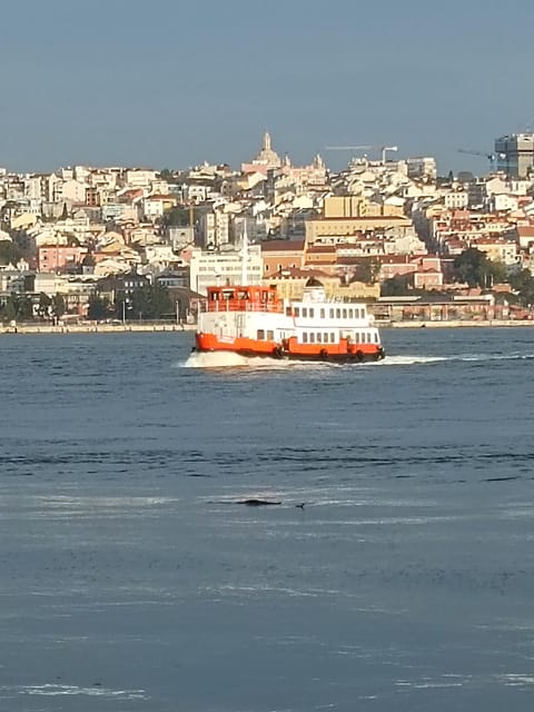 Lisbon: Belem, Jeronimos Monastery, and Coach Museum Tour - Pace, walking, and comfort