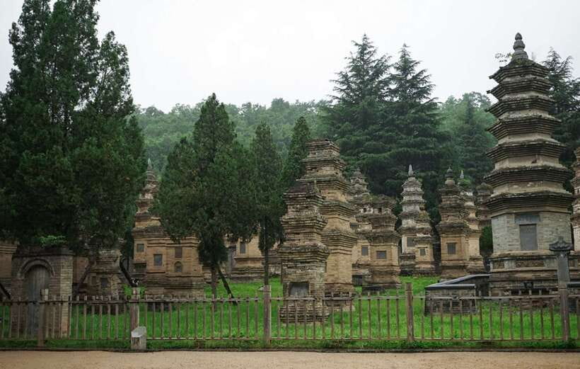 Louyang Day Tour from Xian: Longmen Grottoes, Shaolin Temple - Reading the Cliffs at Longmen Grottoes