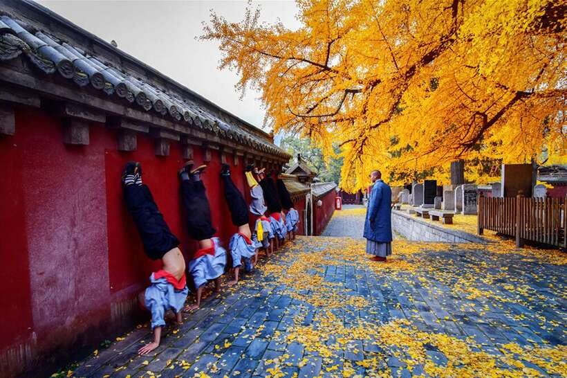 Louyang Day Tour from Xian: Longmen Grottoes, Shaolin Temple - What the Two-Hour Visit Really Gives You
