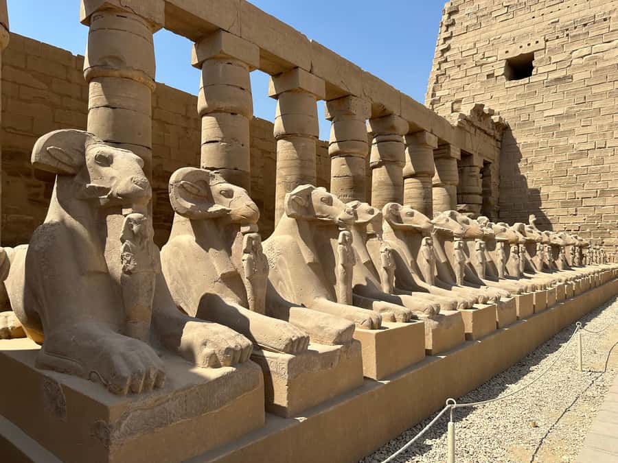 Luxor Half-Day Tour to Explore Karnak and Luxor Temples - Key points to know before booking