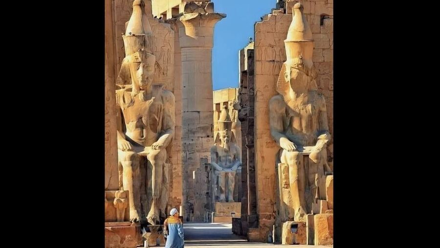 Luxor: Karnak and Luxor Temples Private Half-Day Tour - Who should book this experience