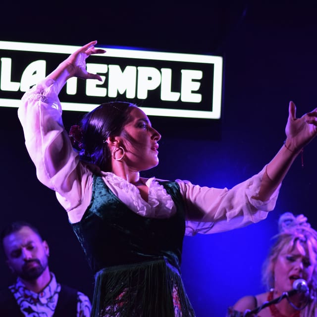 Madrid: Flamenco Show at Tablao Sala Temple with Drink - Who will enjoy this flamenco experience most